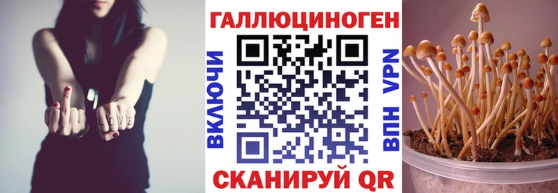 Псилоцибиновые грибы MAGIC MUSHROOMS  Купить где  Унеча 